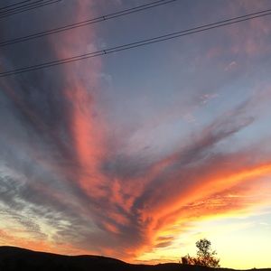 Meet your Posher, Mitch